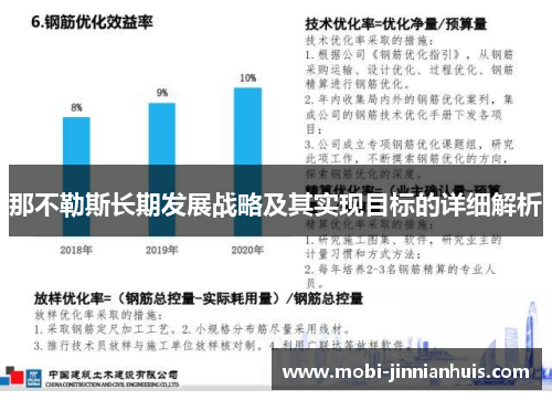 那不勒斯长期发展战略及其实现目标的详细解析