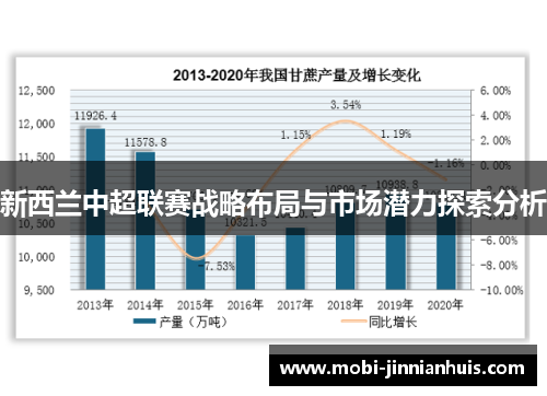 新西兰中超联赛战略布局与市场潜力探索分析