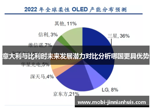 意大利与比利时未来发展潜力对比分析哪国更具优势