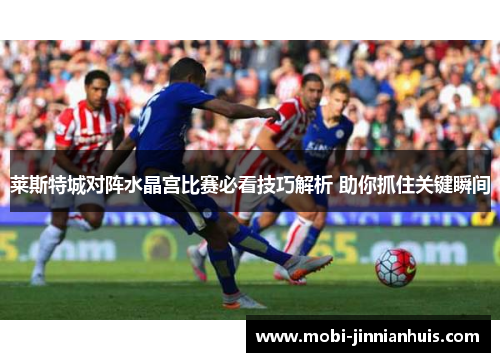 莱斯特城对阵水晶宫比赛必看技巧解析 助你抓住关键瞬间