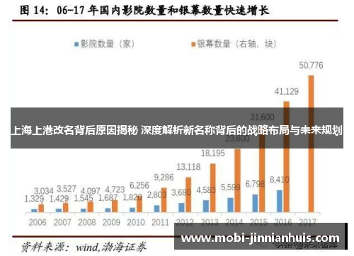 上海上港改名背后原因揭秘 深度解析新名称背后的战略布局与未来规划
